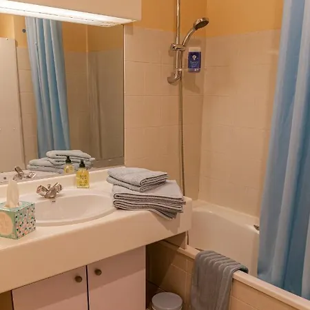 Appartement Parc Blandan - T2 Calme Lumineux Et Bien Situé. Lyon