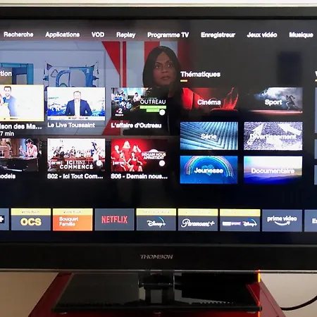 Appartement Parc Blandan - T2 Calme Lumineux Et Bien Situé.